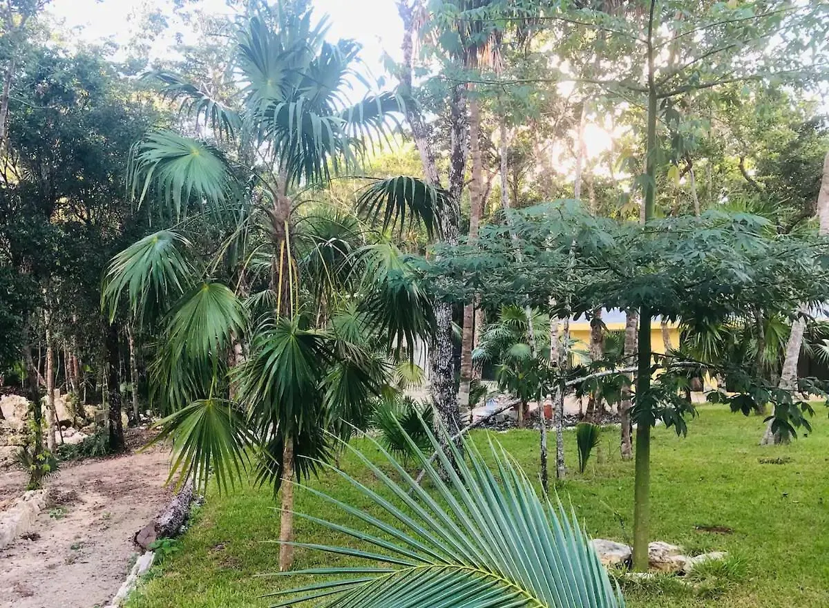 Kerubin Akumal Lejlighedshotel
